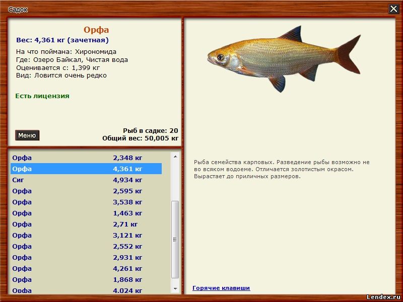 Русская рыбалка 3 золотая рыбка